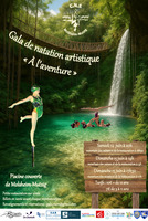 Gala de natation synchronise